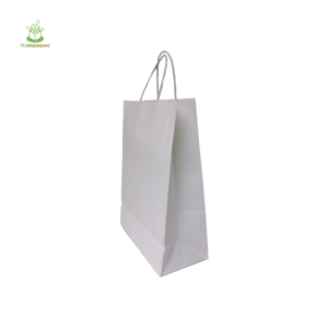 BOLSA KRAFT BLANCA 22X30X10